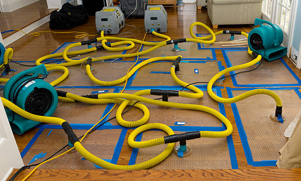 Professional Water Damage Repair technician working in Street, MD